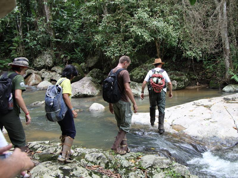 Wanderung im Atlantischen Regenwald